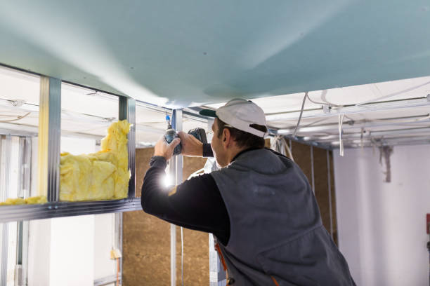Insulation Replacement Services in Erma, NJ