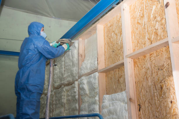 Best Best Insulation Companies  in Erma, NJ