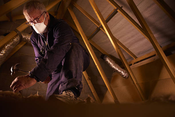 Best Affordable Insulation Services  in Erma, NJ