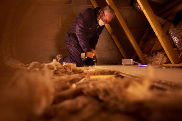 Best Cellulose Insulation  in Erma, NJ